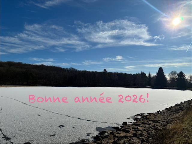 Bonne année 2026