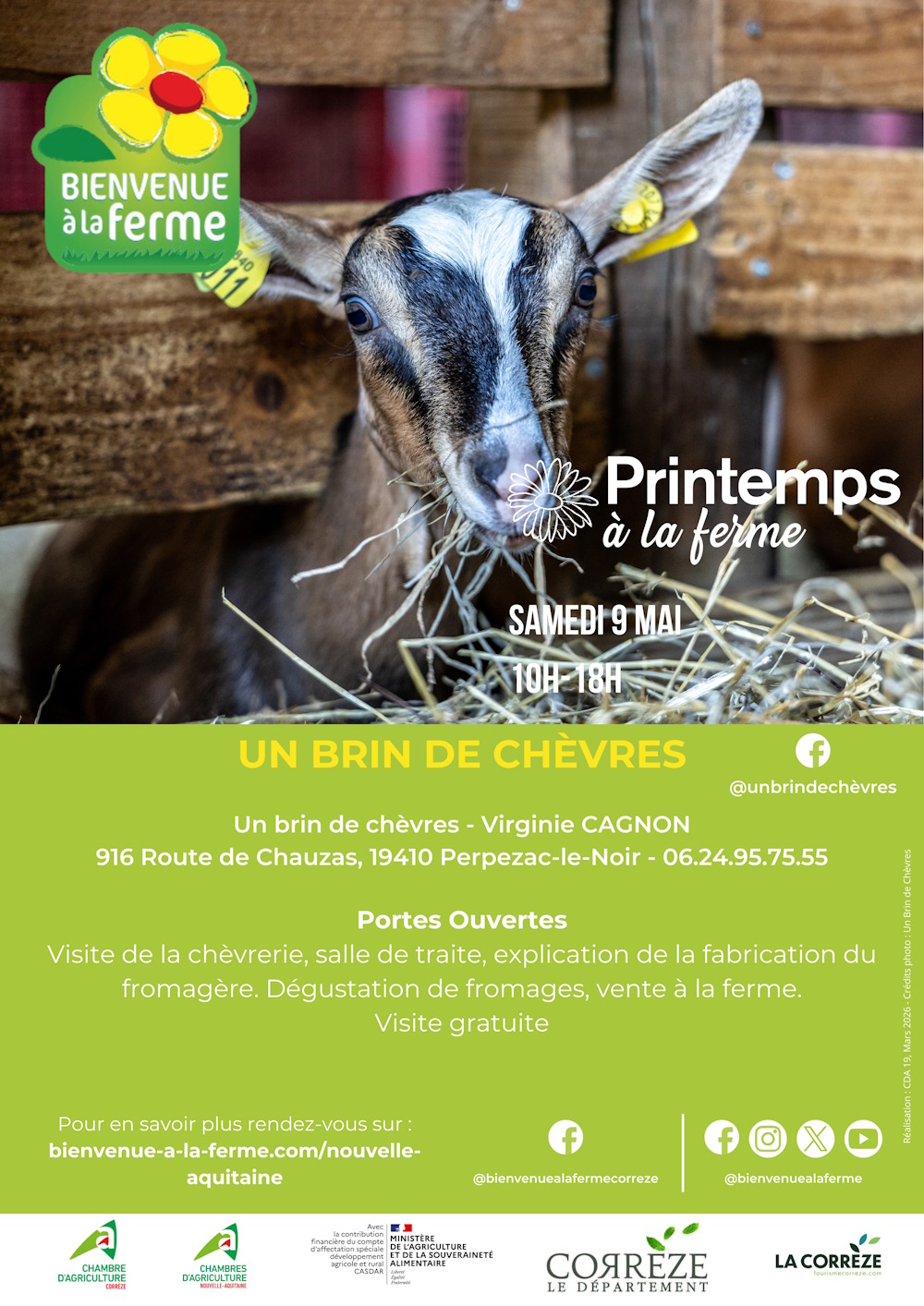 Printemps à la ferme : Découverte et dégustation chez Un Brin de Chèvres